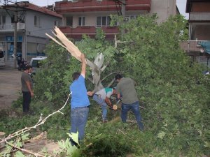 Manisa’ya Kuvvetli Rüzgar Ve Fırtına Uyarısı