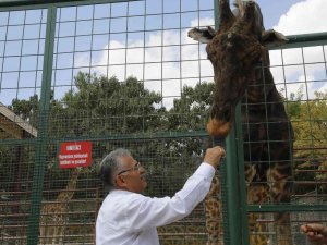 Büyükşehir Hayvanat Bahçesi’ne 1 Yılda Toplam 375 Bin Ziyaretçi