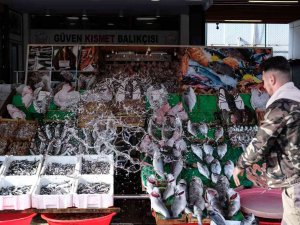 Lodos Balık Tezgahlarını Vurdu, Fiyatlar Fırladı