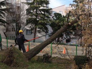 Bursa’da Şiddetli Lodosun Etkisi Sürüyor