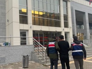 Yurt Dışına Kaçmak İsteyen Pkk/kck Üyesi Yakalandı