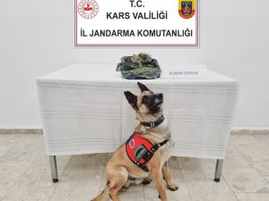 Jandarmadan Uyuşturucuya Geçit Yok