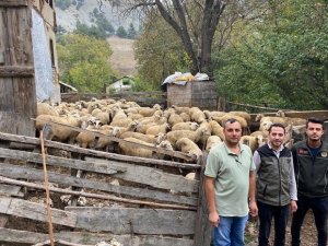 Bolu’da 70 Aileye 4 Milyon 600 Bin Tl Destek Kredisi Verildi