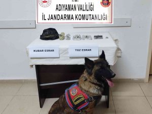 Bahçeye Gömülü Uyuşturucu Ele Geçirildi