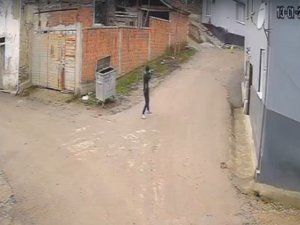Bursa’da Vahşet: Av Tüfeği İle Köpeği Öldürdü
