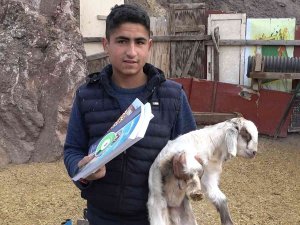 Meb Projesi İle 17 Yaşındaki Çoban Yeniden Okullu Oldu