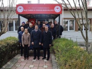 ‘Meyve Ağaçlarında Budama Eğitimi’ Kursu Verildi