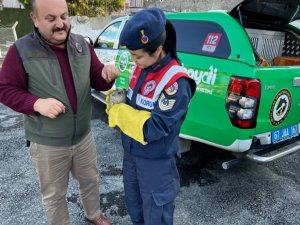 Yaralı Atmacaya Jandarma Şefkati