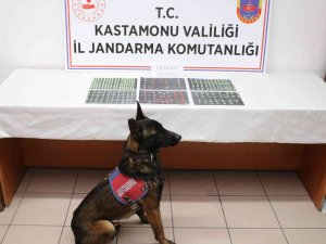 Kastamonu’da Yüzlerce Extacy Hap Ele Geçirildi: 1 Gözaltı