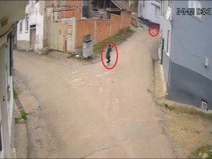 Bir Köpeği Daha Vurmuş