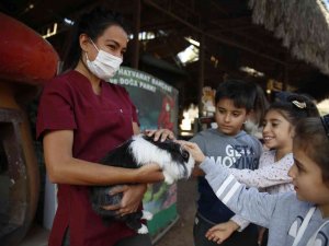 Doğal Yaşam Parkı Öğrenci Ve Öğretmenlere Yarıyıl Tatilinde Ücretsiz