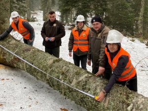Gölyaka’da Orman Üretim Bölmeleri Kontrol Edildi