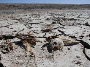 Açıklama Bilim Adamından Geldi, "Özlenen Kar Şubat’ta Yağacak"