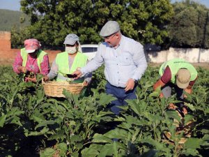 Menteşe Belediyesi ‘Tohum Bankası’ Kuruyor