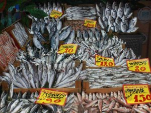 Hava Sıcaklıları Balık Fiyatlarını Etkiledi