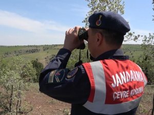 Kırıkkale’de Saha Denetimi Yapan Jandarma, Avcıları Bilgilendirdi
