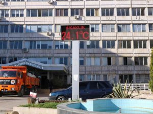 Samsun’da Yalancı Bahar: Termometreler 24,1’i Gösterdi