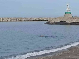 Hava Sıcaklığı 20 Dereceye Yükseldi, Vatandaşlar Denize Girdi