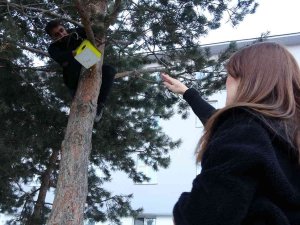 Yüksekova’daki 20 Noktaya Kuş Evi Bırakıldı