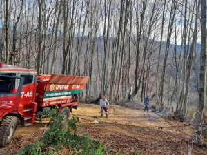 Yangın Ormana Sıçramadan Söndürüldü