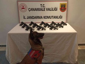 Çanakkale’de 12 Adet Ruhsatsız Tabanca Ele Geçirildi