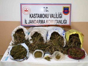 Kastamonu’da 28 Kilo Esrar Yakalatan Şahıs Tutuklandı
