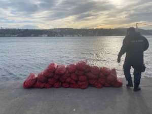 Sarıyer’de Yasa Dışı Midye Avcılığı Yapanlara 33 Bin 768 Para Cezası