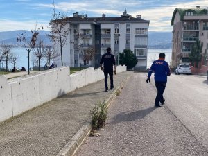 Kocaeli’de İki İlçeyi Saran Kötü Koku, Afad Ekiplerini Harekete Geçirdi