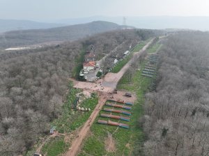 O Merkez Sahipsiz Canlara Umut Olmaya Devam Ediyor