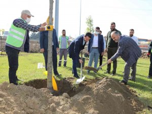 Büyükşehir’le Yeniden ‘Yeşil Bursa’