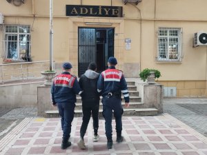 Jandarma Germencik’teki Hırsızlığı Aydınlattı