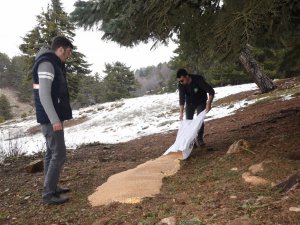 Amanos Dağları’nın Eteklerine Yaban Hayvanları İçin Yem Bırakıldı