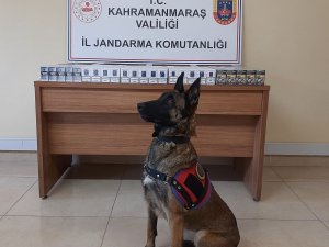 Kahramanmaraş’ta Kaçakçılıkla Mücadele