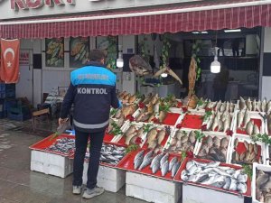 Beyşehir’de Balık Satış Noktalarında Denetim