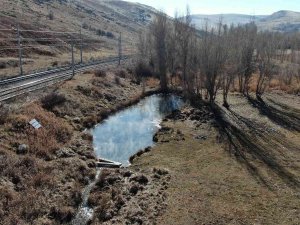 Dünyaca Ünlü Doktor Balıklar Yok Olma Tehdidi Altında