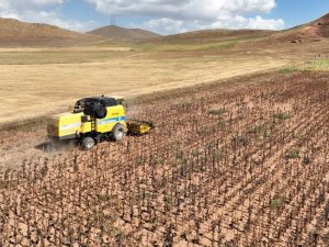 Tarımsal Girdi Fiyat Endeksi Bir Yılda Yüzde 112,41 Arttı