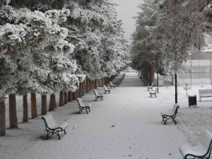 Kar Değil Kırağı Yağdı