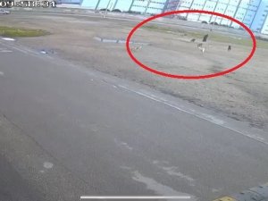 Bursa’da Başıboş 10 Köpeğin Yaşlı Kadına Saldırması Kamerada
