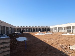 Sokak Hayvanları Sıcak Yuvalarına Kavuşuyor