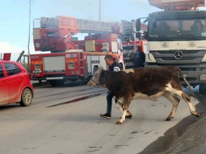 Tekirdağ Korkutan Yangın