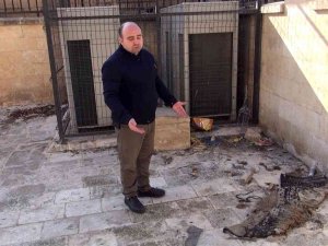 Mardinlilerden 8 Milyon Liraya Restore Edilen Tarihi Camideki Avlunun Ve Tuvaletin Pis Haline Tepki