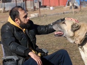 Engelini Çok Sevdiği Kangallarla Aştı, Ömrünün Kalanını Onlara Adadı