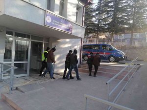 Kaçak Kazı Yapan 4 Şüpheliye Jandarmadan Suçüstü
