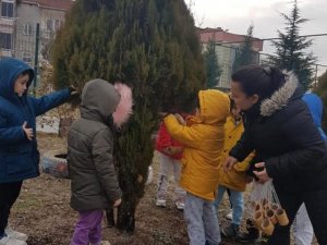 Anaokulu Öğrencileri Sokak Hayvanlarının Yem Ve Su İhtiyacını Karşıladı