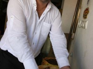Fındık Yeni Sezonu 12 Tl’den Açıyor