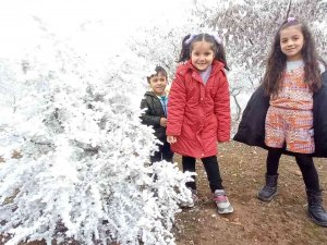 Bitlis’te Kırağı Tutan Ağaçlar Kartpostallık Görüntü Oluşturdu