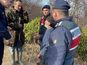 Kayıp Adam Ormanda Yaralı Bulundu
