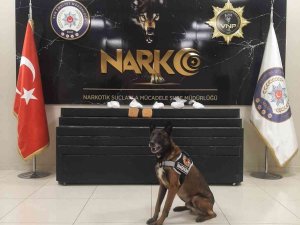 Van’da 3 Kilo 600 Gram Uyuşturucu Ele Geçirildi