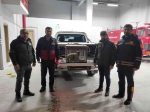 Van’da Tel Örgüye Sıkışarak Yaralanan Tilki Tedavi Altına Alındı