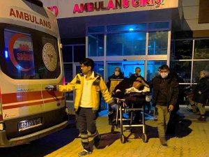 Köpeklerin Kovaladığı Elektrikli Bisikletten Düşen Kadın Yaralandı